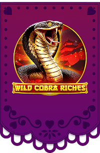 Play Wild Cobra Riches